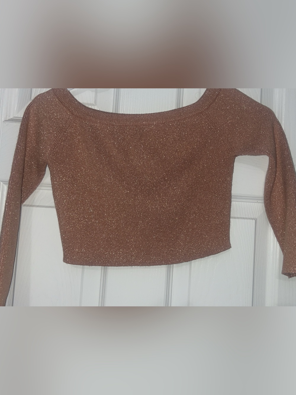 Le Superbe Metallic Brown Scoop-Neck Knit Top